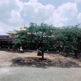 Sera Jey Debate Ground: Repair & Replacement Work </br> 塞拉·傑伊辯論場:維修與更換工作