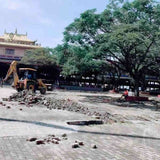 Sera Jey Debate Ground: Repair & Replacement Work </br> 塞拉·傑伊辯論場:維修與更換工作