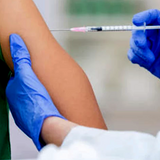 Hepatitis B Infection Program </br> B型肝炎